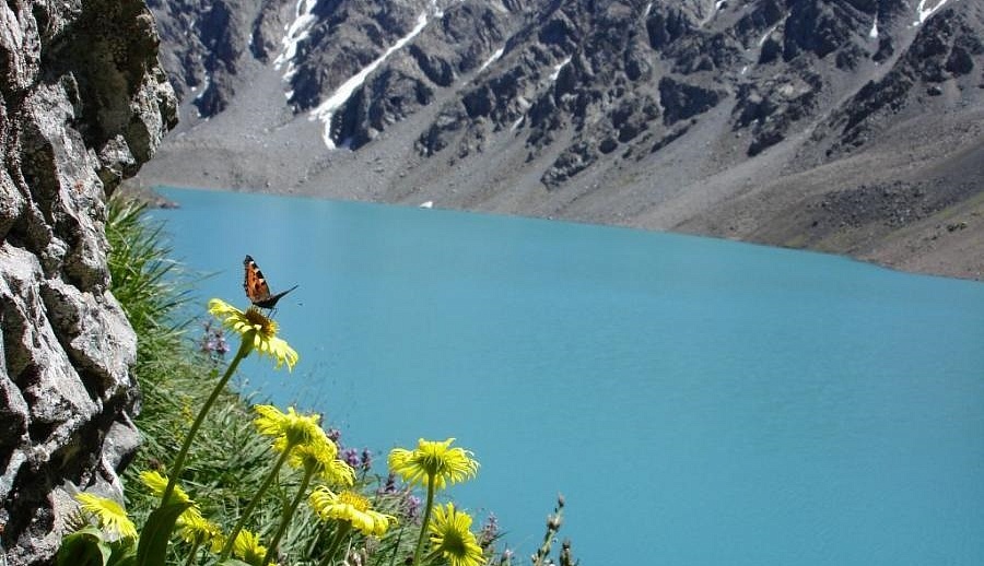 Ала кель. Озеро ала, Казахстан. Киргизия Швейцария. Биоразнообразие Иссык куля.